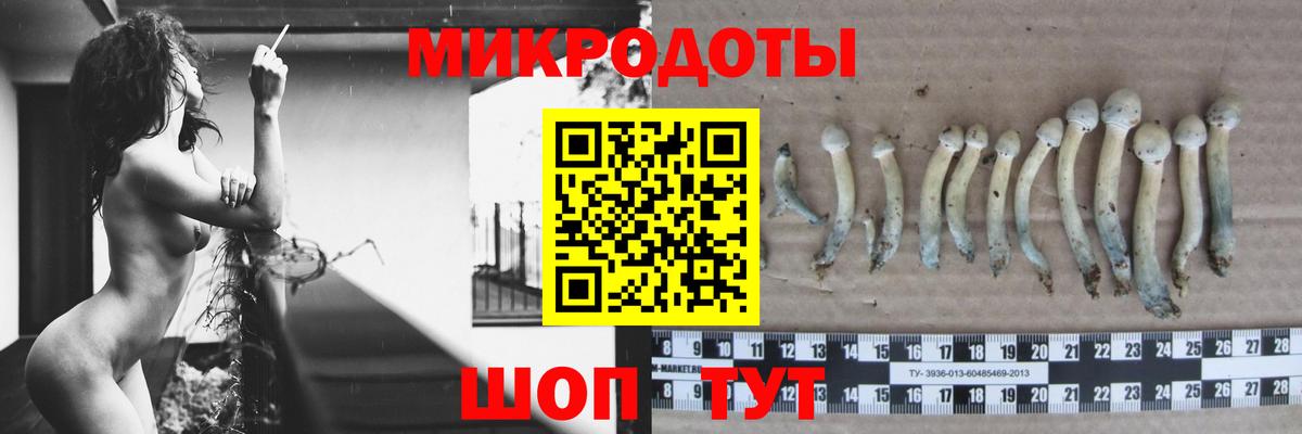 Нижнеудинск  Галлюциногенные грибы мицелий  Вход с VPN 